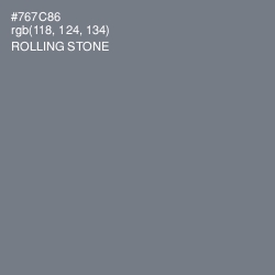 #767C86 - Rolling Stone Color Image